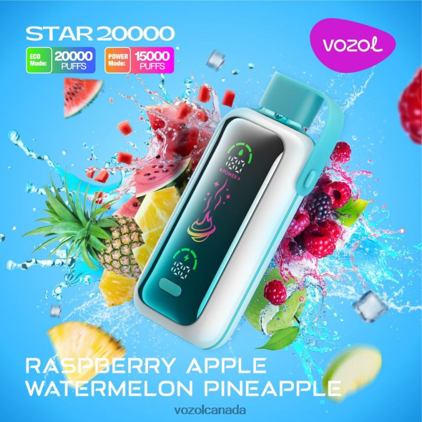 Vozol Vape Canada RASPBERRY APPLE WATERMELON PINEAPPLE VXBH4618 VOZOL STAR 20000