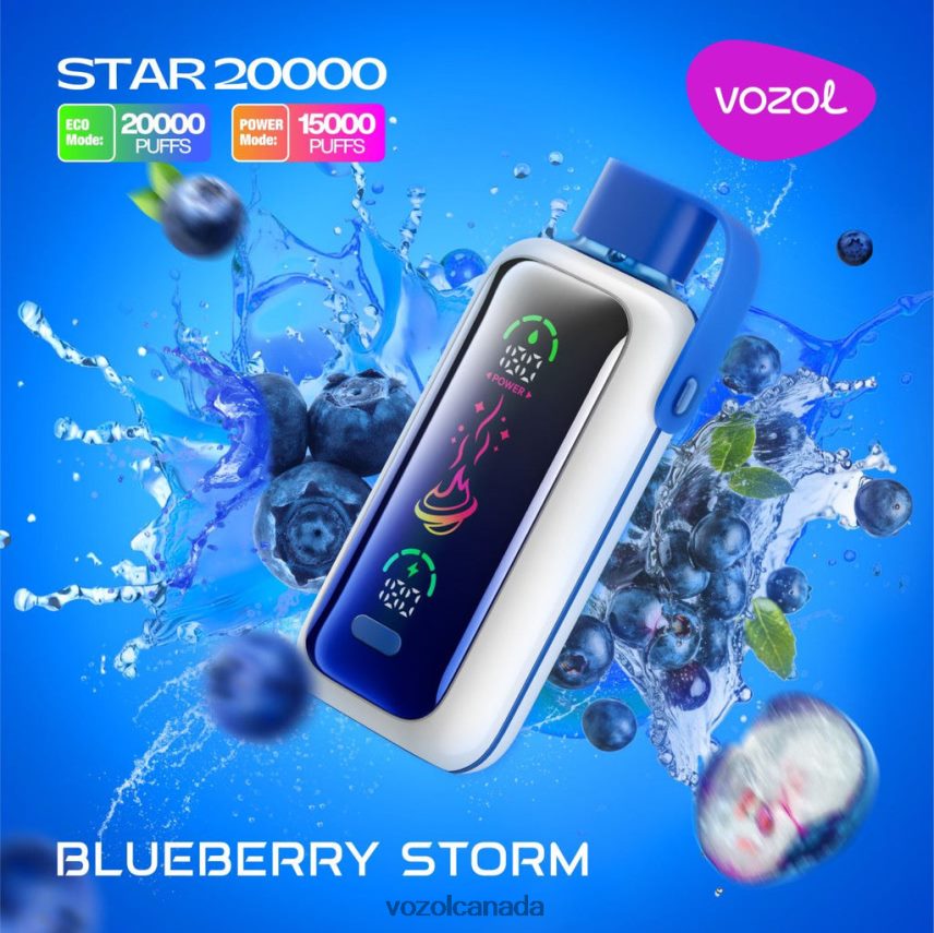 Vozol Vape Near Me BLUEBERRY STORM VXBH465 VOZOL STAR 20000