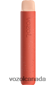 VOZOL STAR 600 20J0FJ71 - VOZOLl Canada APPLE PEACH