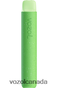 VOZOL STAR 600 20J0FJ79 - VOZOLl Vape Online FOREST BERRY STORM